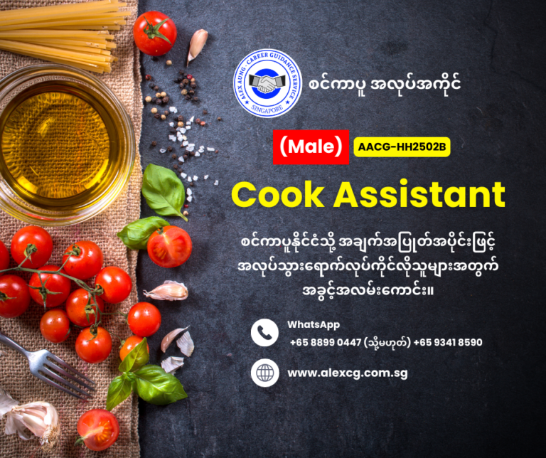 Cook Assistnat