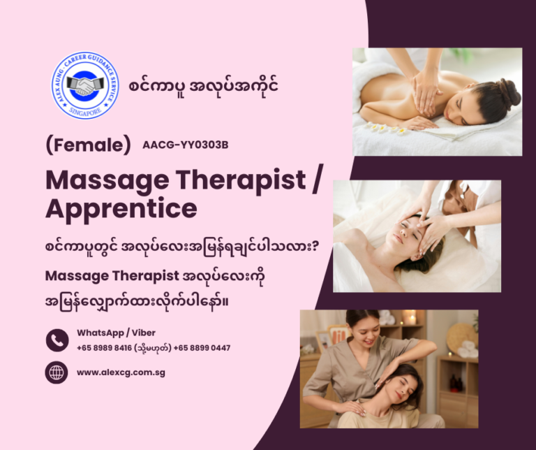 Massage Therapist / Apprentice