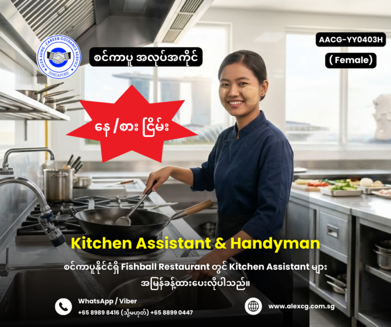 Kitchen Assistant & Handyman