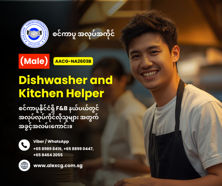 Dishwasher and Kitchen Helper