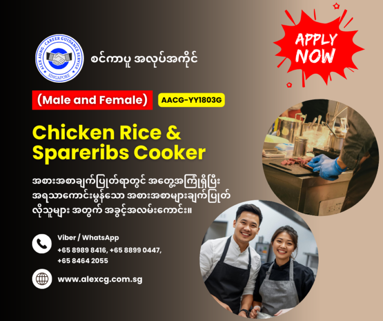 Chicken Rice & Spareribs Cooker