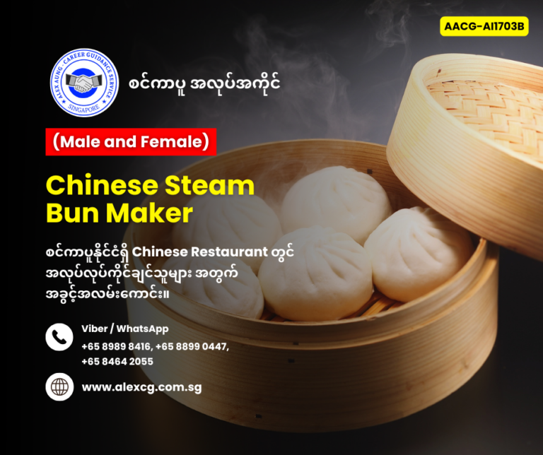 Chinese Steam Bun Maker