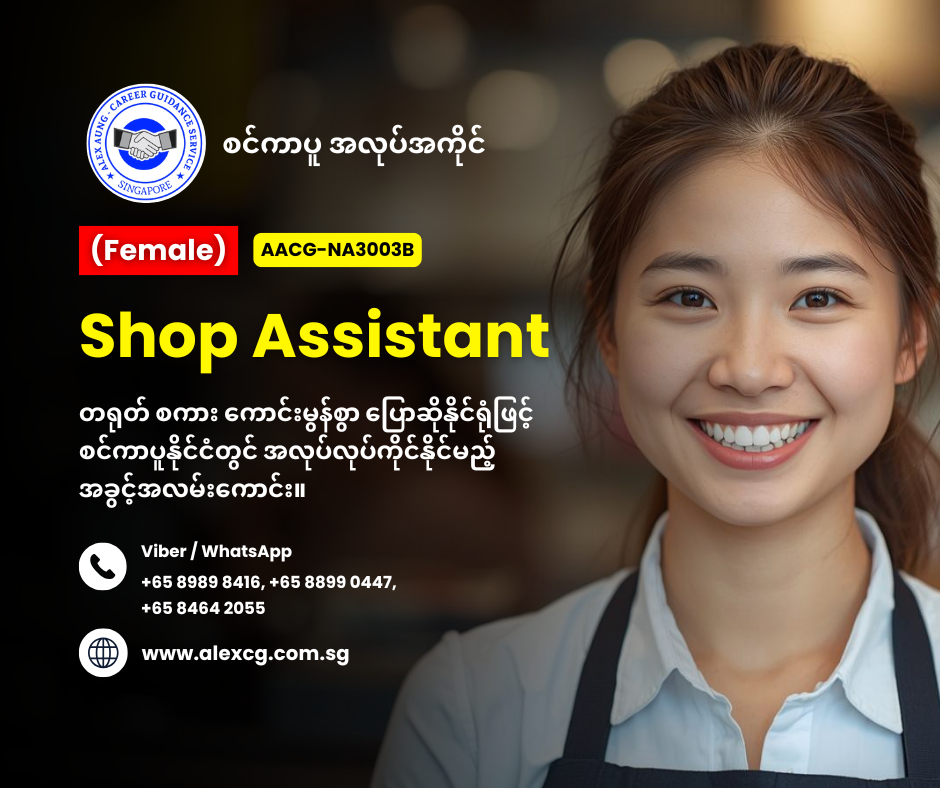 Shop Assistant
