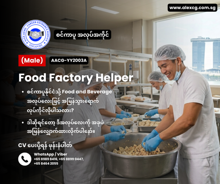 Food Factory Helper