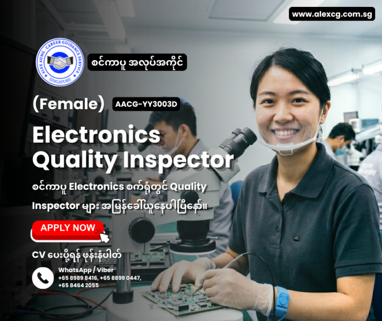 Electronics Quality Inspector