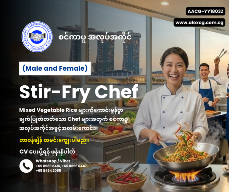 Stir-Fry Chef