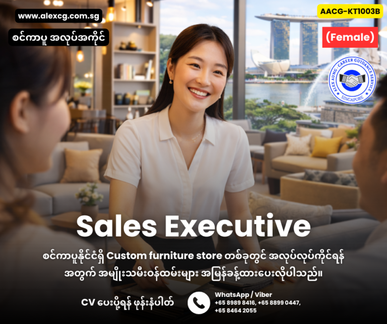 Sales Executive