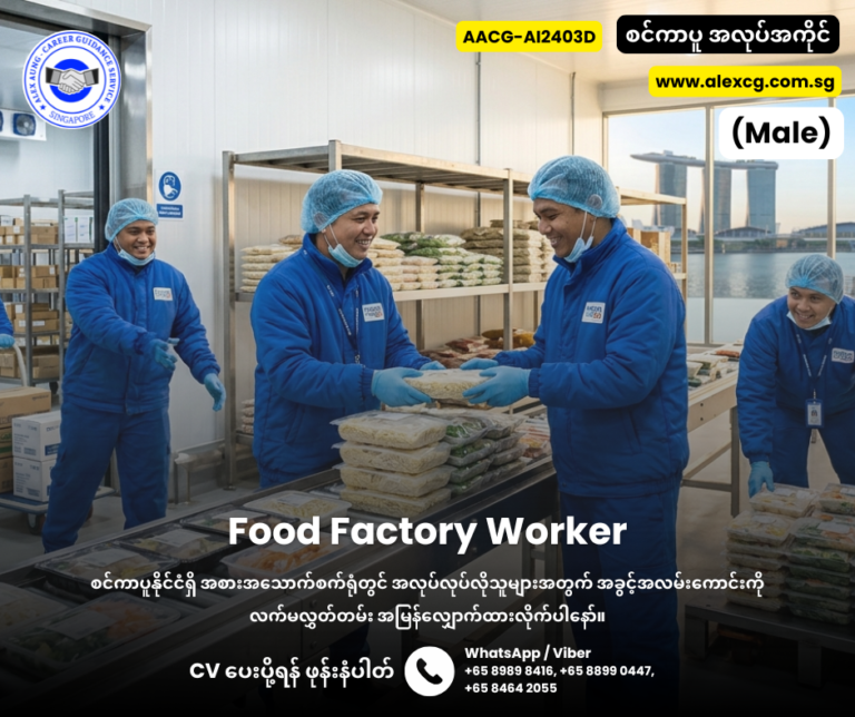 Food Factory Worker