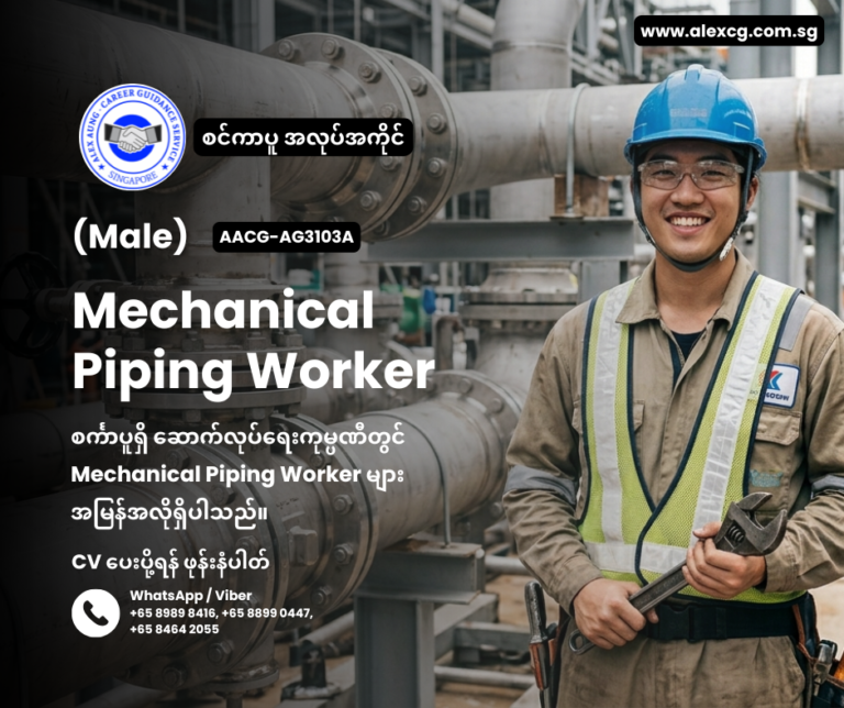 Mechanical Piping Worker