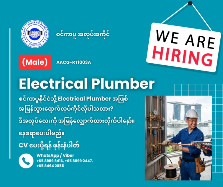 Electrical Plumber