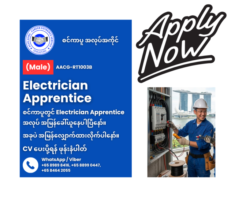 Electrician Apprentice