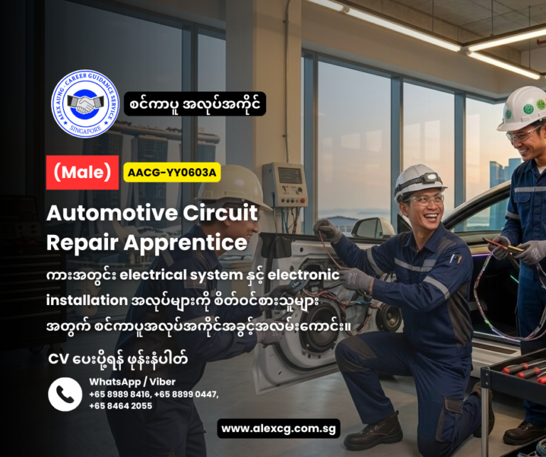 Automotive Circuit Repair Apprentice