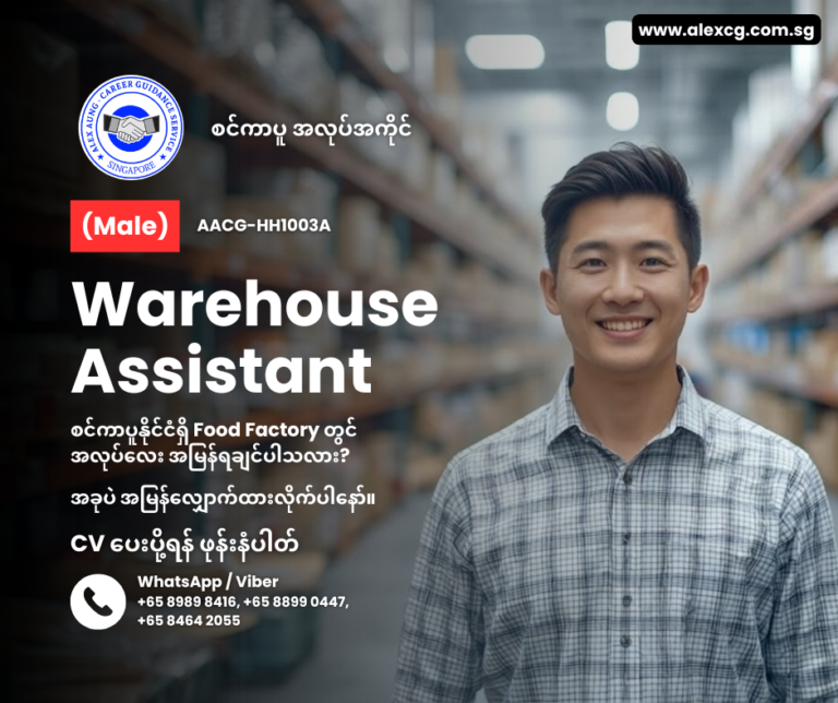 Warehouse Assistant