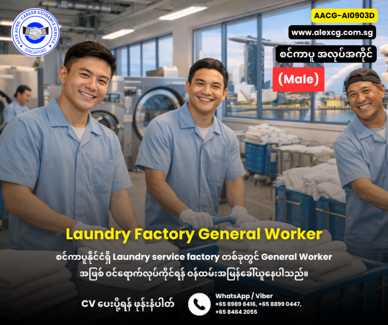 Laundry Factory General Worker