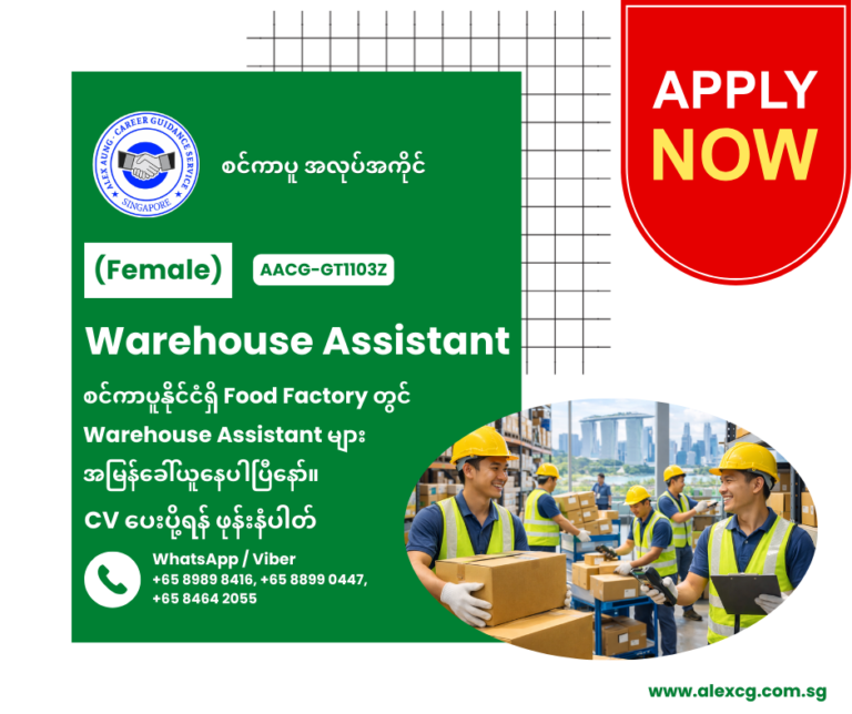 Warehouse Assistant
