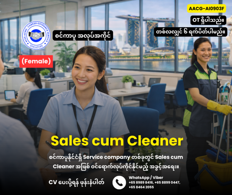 Sales cum Cleaner
