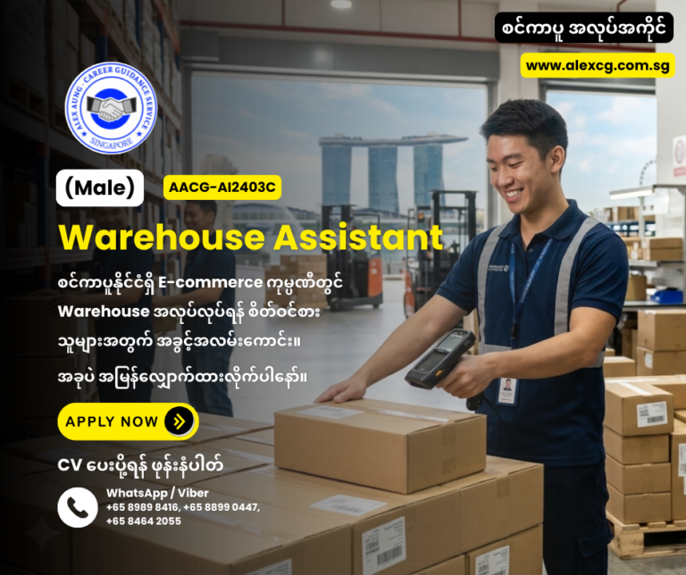 Warehouse Assistant