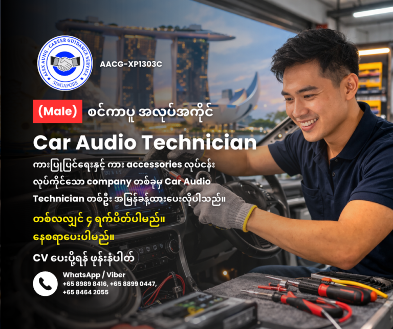 Car Audio Technician