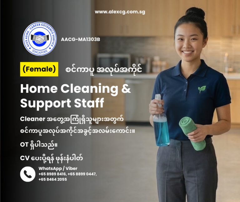 Home Cleaning & Support Staff