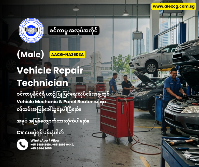 Vehicle Repair Technician
