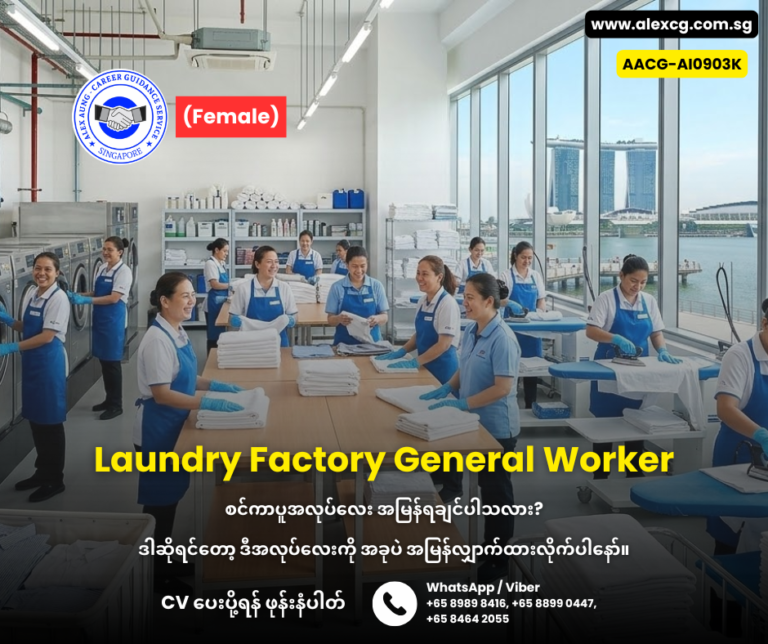 Laundry Factory General Worker