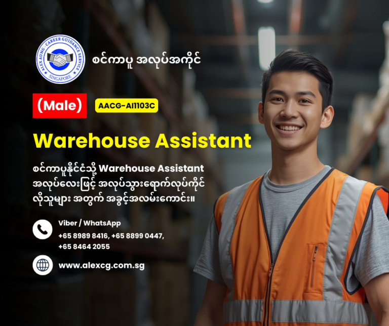 Warehouse Assistant