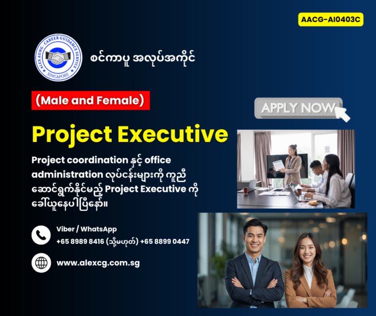Project Executive