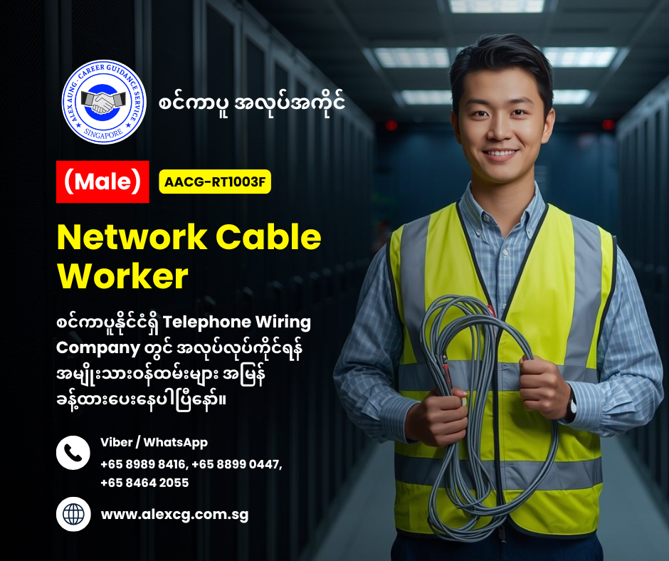 Network Cable Worker