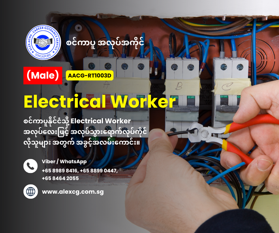 Electrical Worker