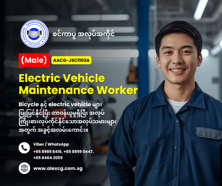 Electric Vehicle Maintenance Worker