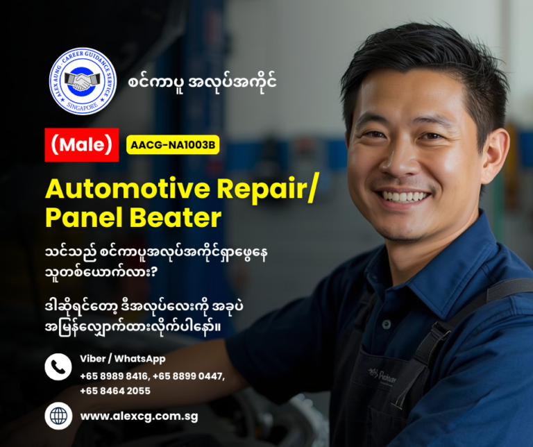 Automotive Repair/ Panel Beater