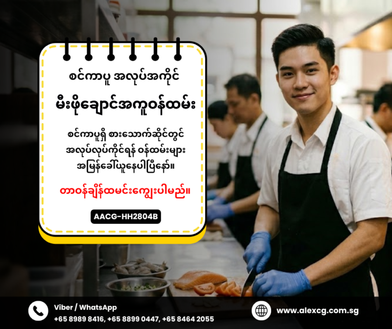 Kitchen Assistant