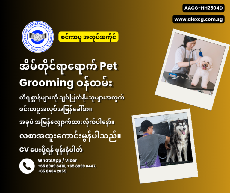 အိမ်တိုင်ရာရောက် Pet Grooming ဝန်ထမ်း