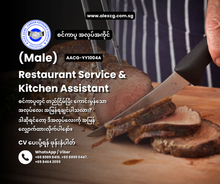 Restaurant Service & Kitchen Assistant