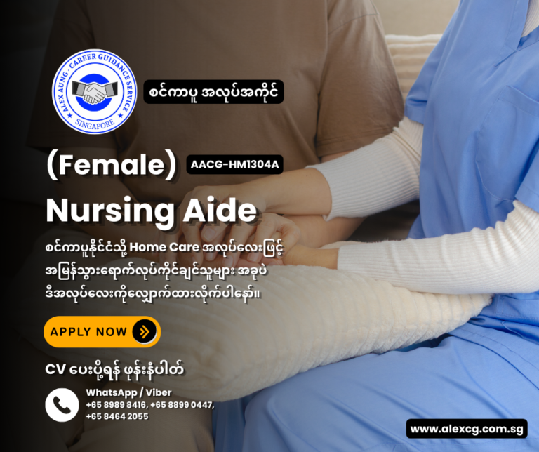 Nursing Aide