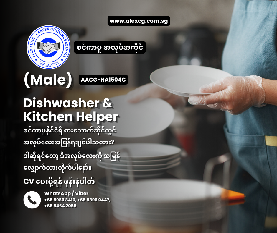 Dishwasher & Kitchen Helper