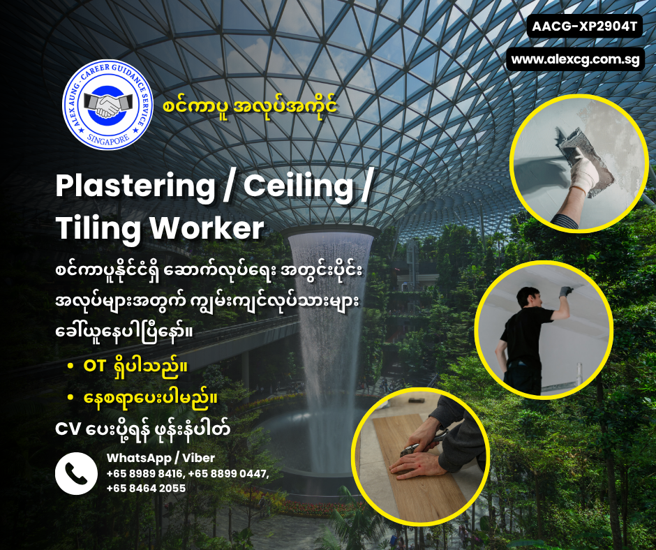 Plastering / Ceiling / Tiling Worker