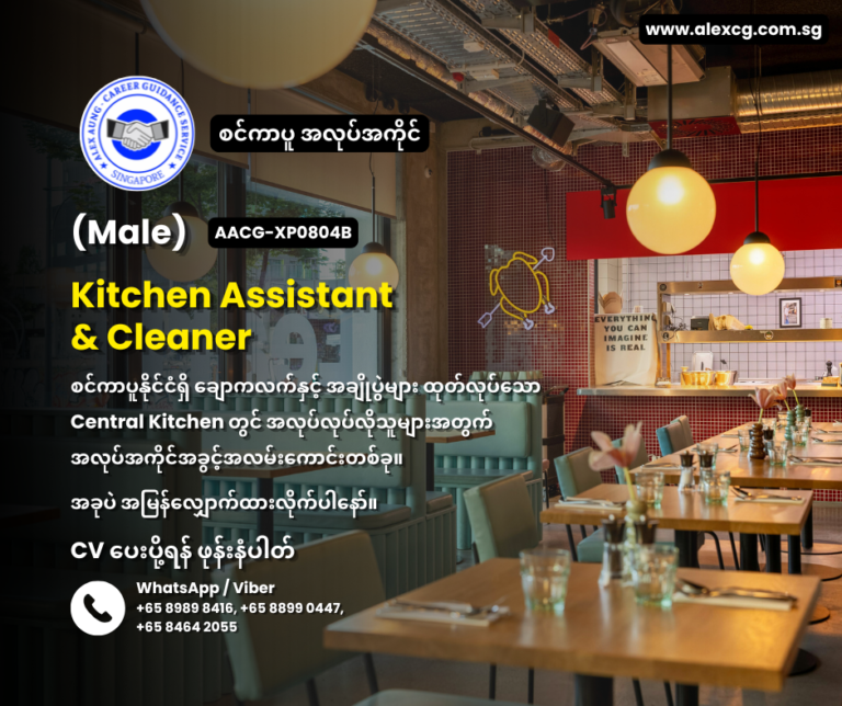Kitchen Assistant & Cleaner