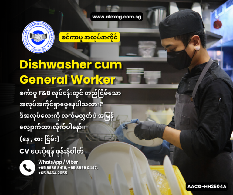Dishwasher cum General Worker
