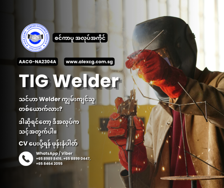 TIG Welder