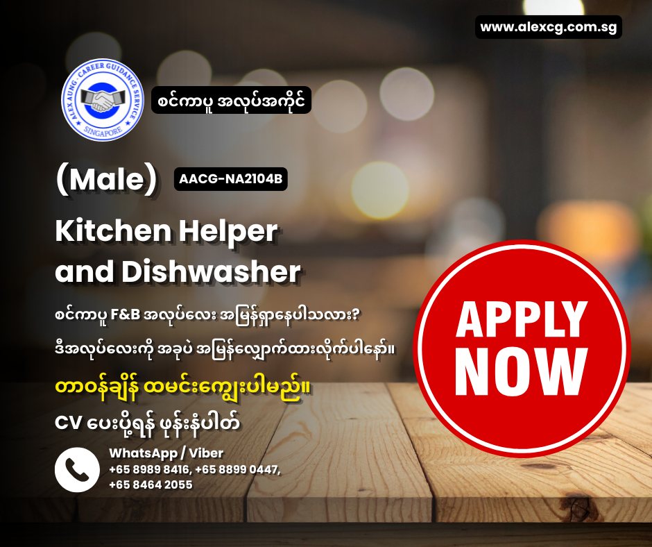 Kitchen Helper and Dishwasher