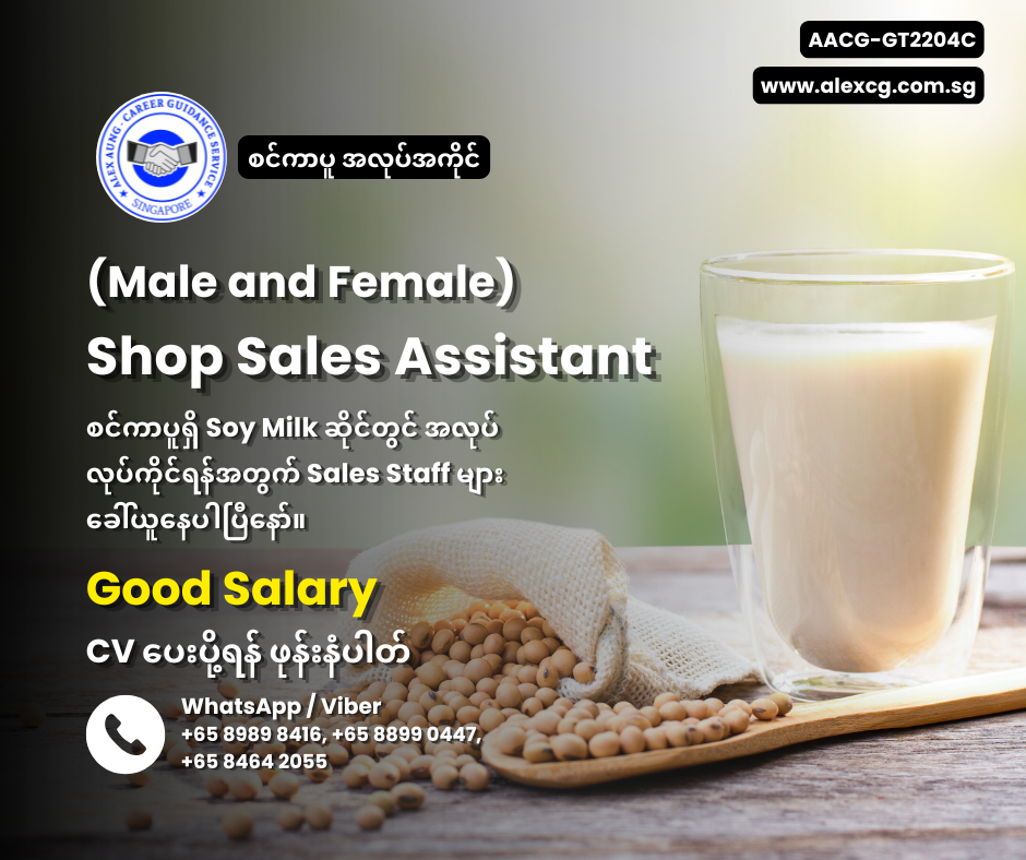 Shop Sales Assistant