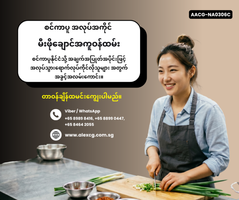 Kitchen Assistant