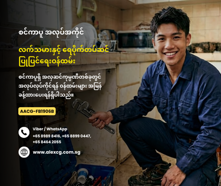 Carpenter & Plumber