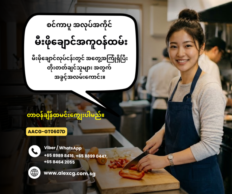 Kitchen Assistant
