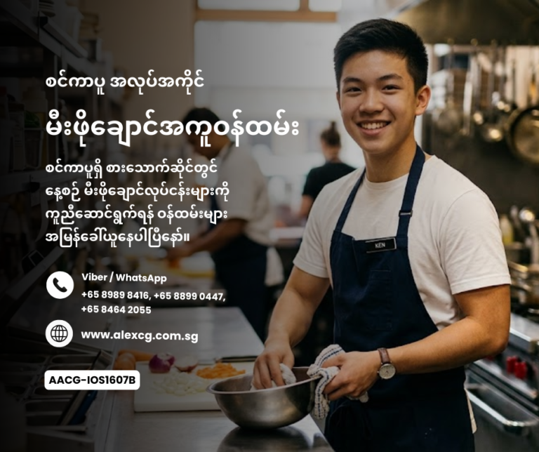Kitchen Assistant