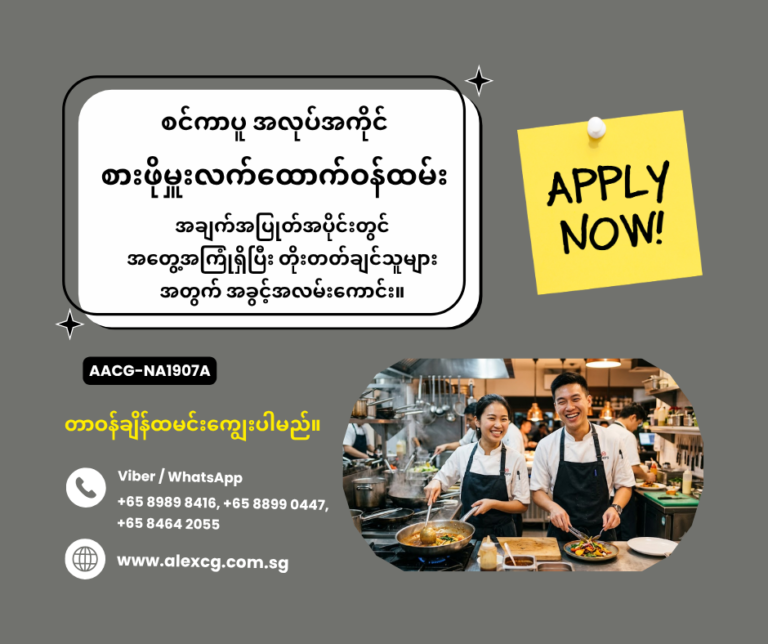 Assistant Chef