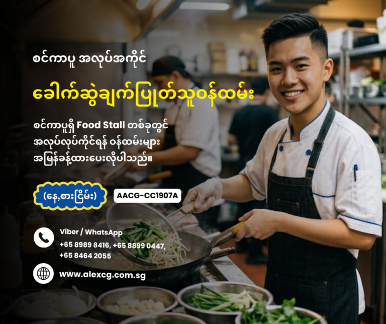 Noodle Cooker
