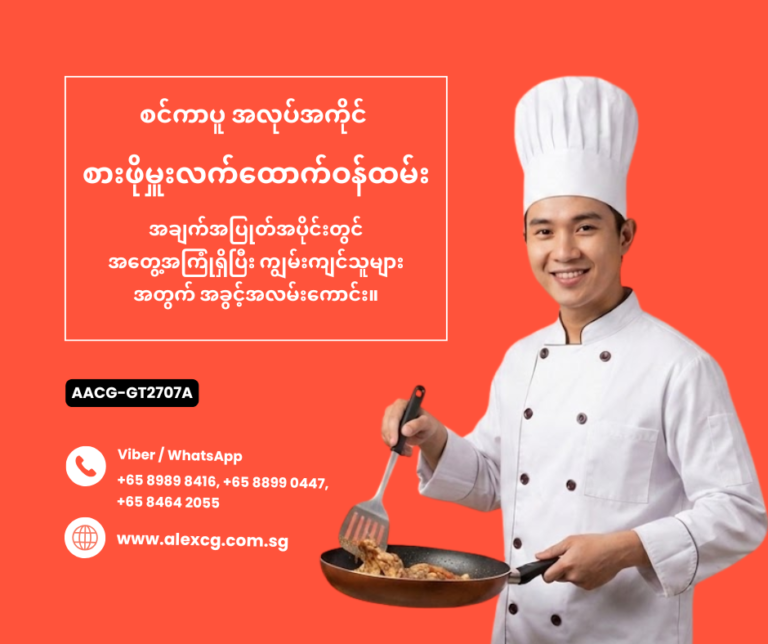 Chef Assistant