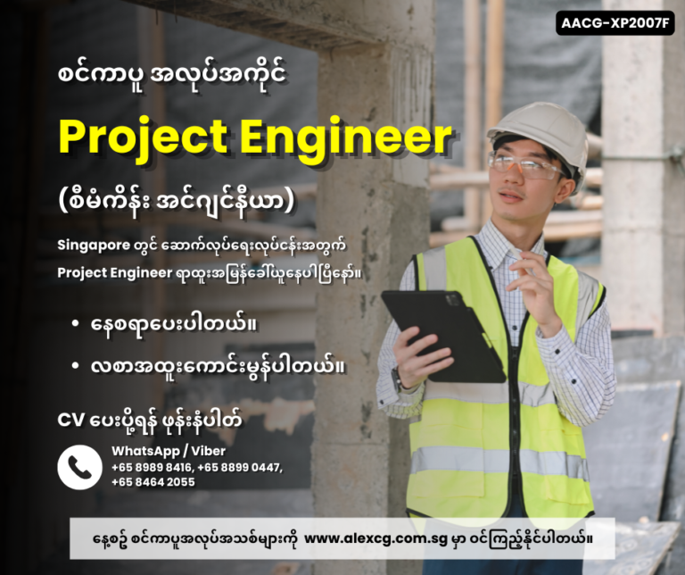 Project Engineer